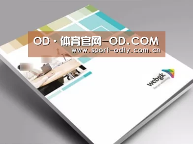 项目名称九