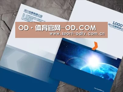 项目名称十