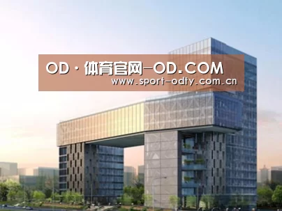 案例展示四